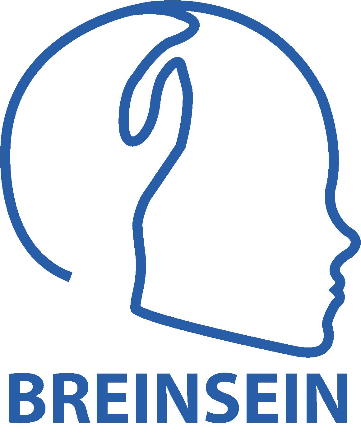 Logo Breinsein